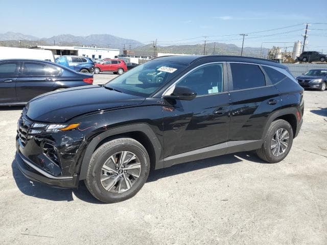 km8jbcd17ru220918 - 2024 Hyundai tucson blue