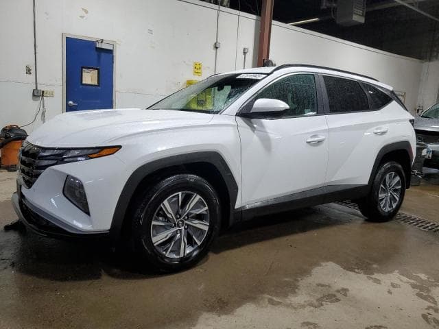 km8jbcd18ru180350 - 2024 Hyundai tucson blue