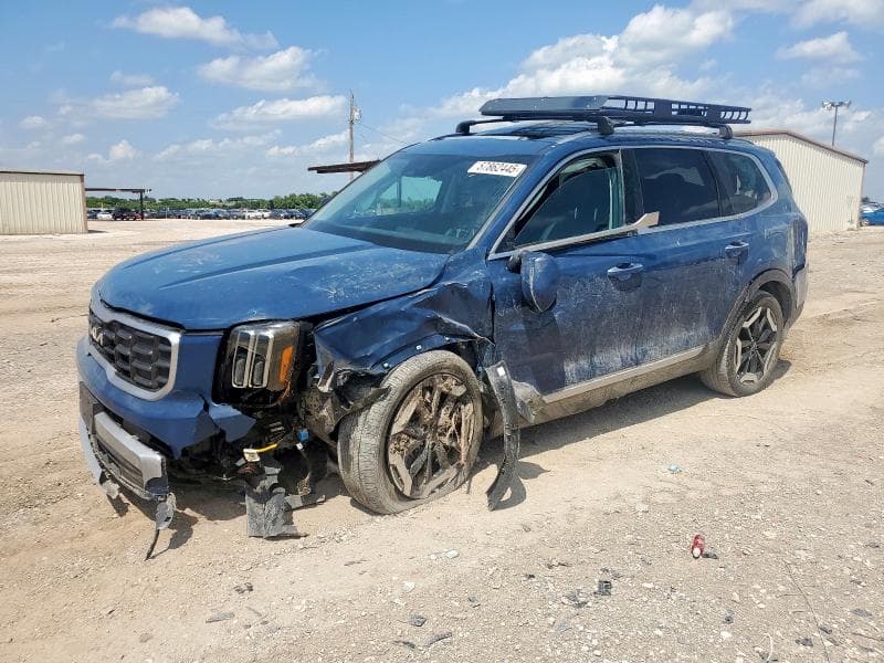 5XYP64GC5RG417254 - 2024 Kia TELLURIDE