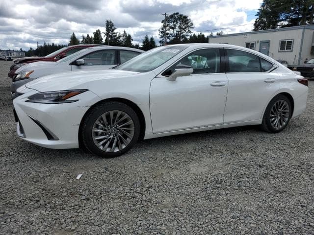 58AEA1C19RU040407 - 2024 LEXUS ES300