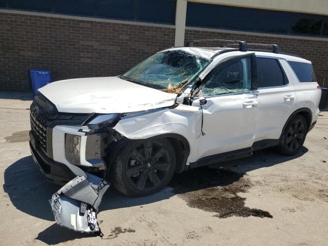 KM8R3DGE4RU658350 - 2024 HYUNDAI PALISADE X