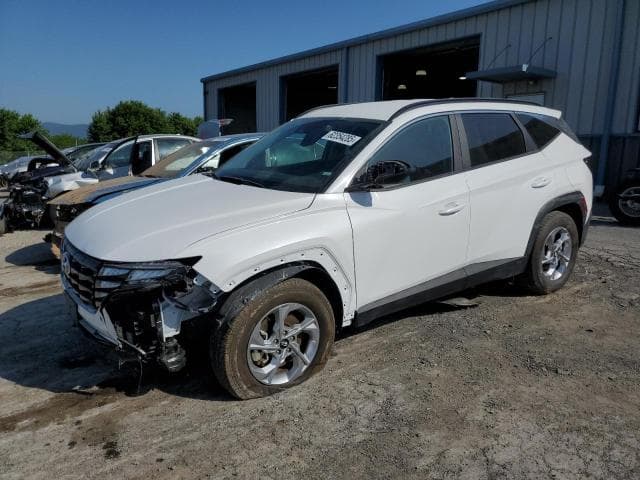 5NMJBCDE0RH340347 - 2024 Hyundai Unknown Model