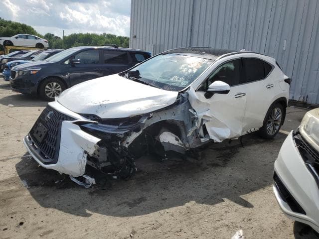 JTJHKCEZXR2031759 - 2024 Lexus NX 350H BA