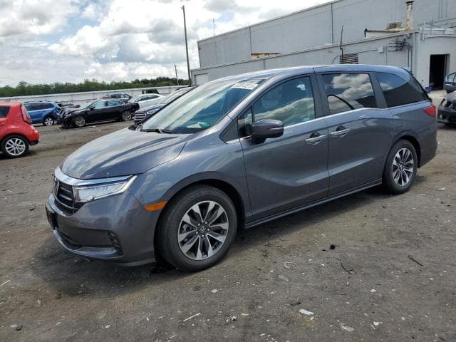 5FNRL6H64RB021376 - 2024 Honda Unknown Model