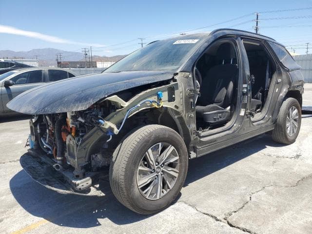 km8jbcd16ru204953 - 2024 Hyundai tucson blue