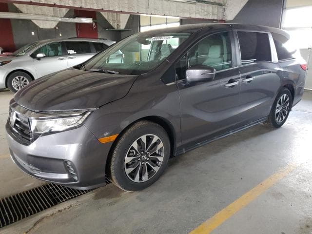 5FNRL6H6XRB047030 - 2024 HONDA Unknown Model