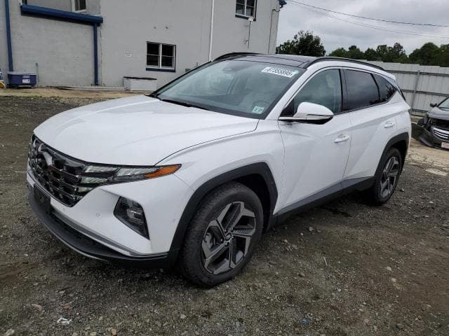 5NMJECDE4RH368806 - 2024 Hyundai Unknown Model