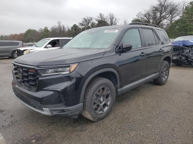 5FNYG1H64RB022059 - 2024 Honda PILOT