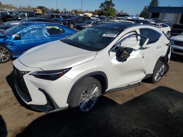 JTJHKCEZ6R2029510 - 2024 LEXUS NX 350H BA