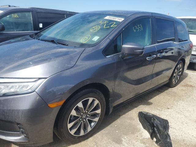 5FNRL6H62RB046986 - 2024 HONDA Unknown Model
