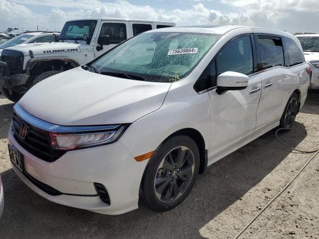 5FNRL6H91RB028103 - 2024 HONDA Unknown Model