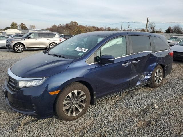 5FNRL6H60RB061437 - 2024 HONDA Unknown Model