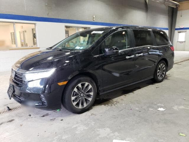 5FNRL6H67RB072175 - 2024 HONDA Unknown Model