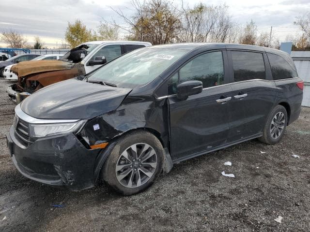 5FNRL6H60RB504198 - 2024 HONDA Unknown Model