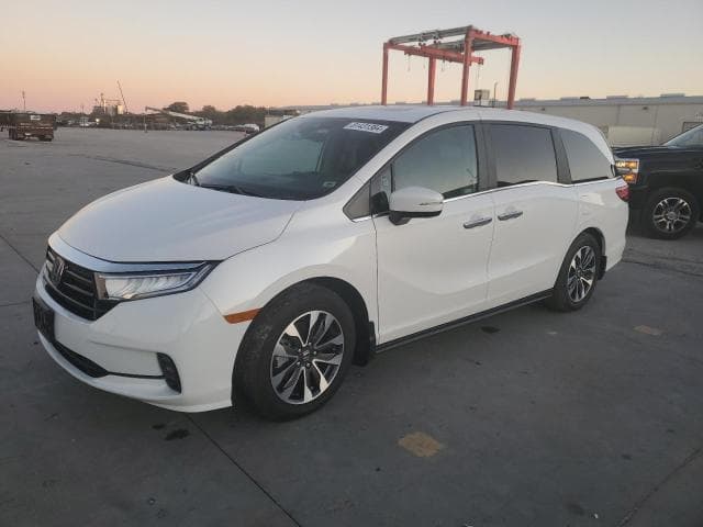 5FNRL6H67RB010890 - 2024 HONDA Unknown Model
