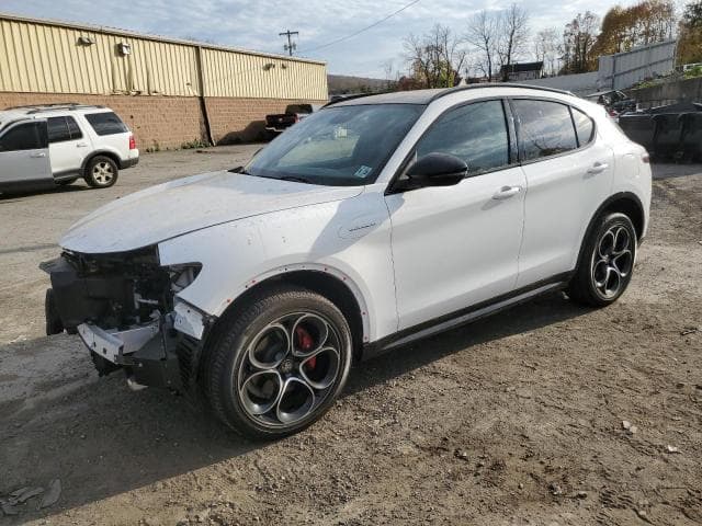 zaspakbn5r7d72610 - 2024 alfa romeo stelvio