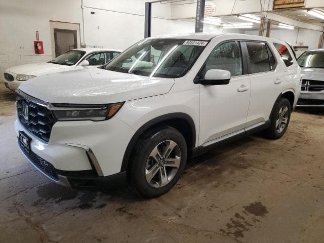 5FNYG1H44RB017765 - 2024 HONDA PILOT